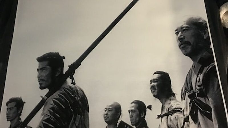 垂直绿化模块：不只是美化，更是城市绿化的未来