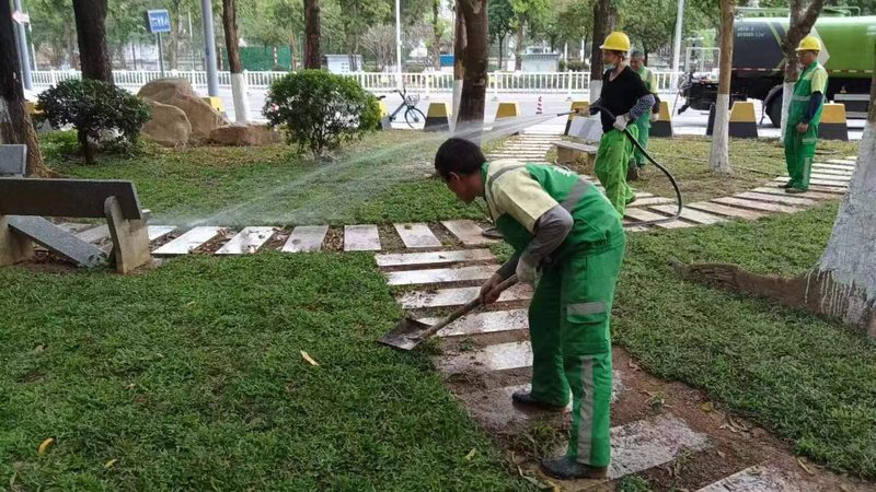 市政道路绿化施工材料清单：揭秘关键要素**