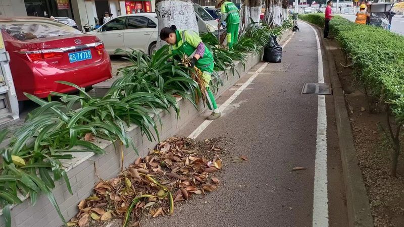 草坪加盟投资前先弄懂这五个定价逻辑