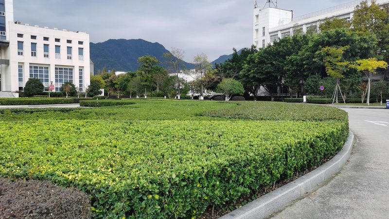 园林绿化养护管理：如何科学选择厂家？**