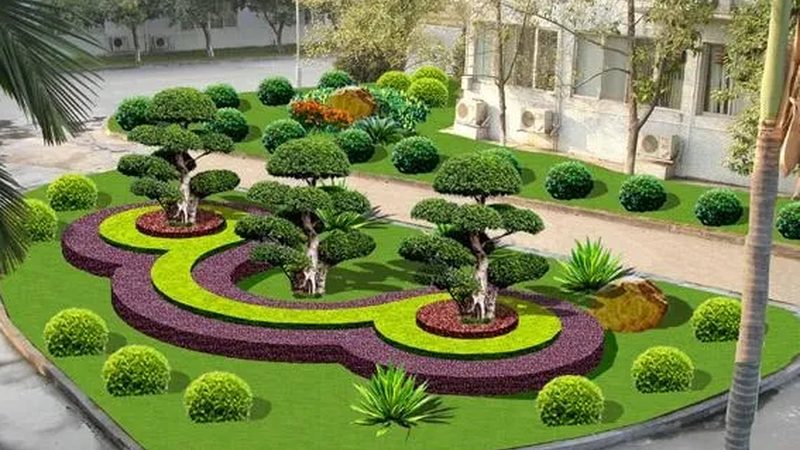 苗木种植技术视频教程：高清版，揭秘种植秘诀