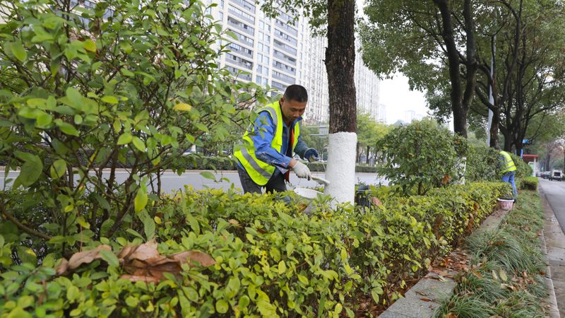 绿植租赁定制方案：安装费用解析与考量**